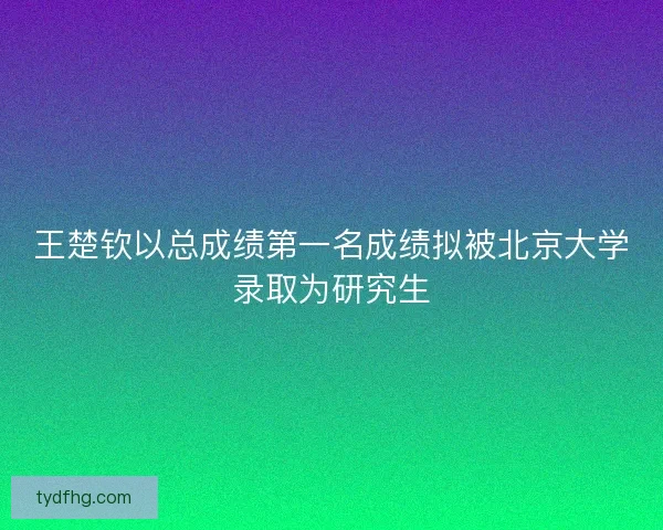王楚钦以总成绩第一名成绩拟被北京大学录取为研究生