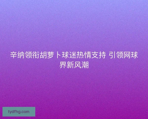 辛纳领衔胡萝卜球迷热情支持 引领网球界新风潮